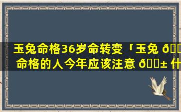 玉兔命格36岁命转变「玉兔 🐦 命格的人今年应该注意 🐱 什么」